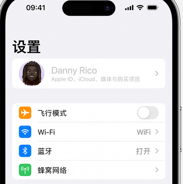 市南appleID维修服务iPhone设置中Apple ID显示为灰色无法使用 