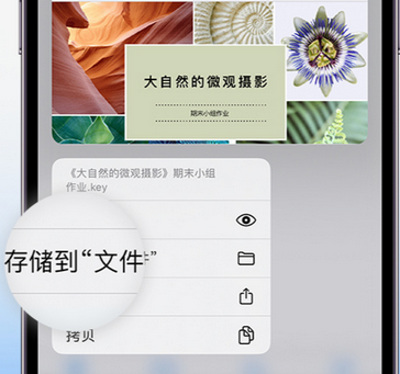 市南apple维修中心分享iPhone文件应用中存储和找到下载文件