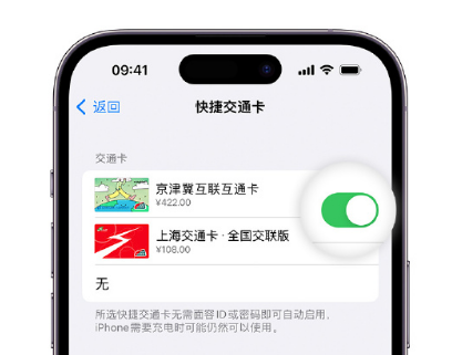 市南apple维修点分享iPhone上更换Apple Pay快捷交通卡手绘卡面 