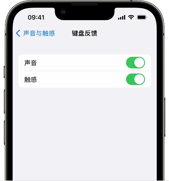 市南苹果14维修店分享如何在 iPhone 14 机型中使用触感键盘 