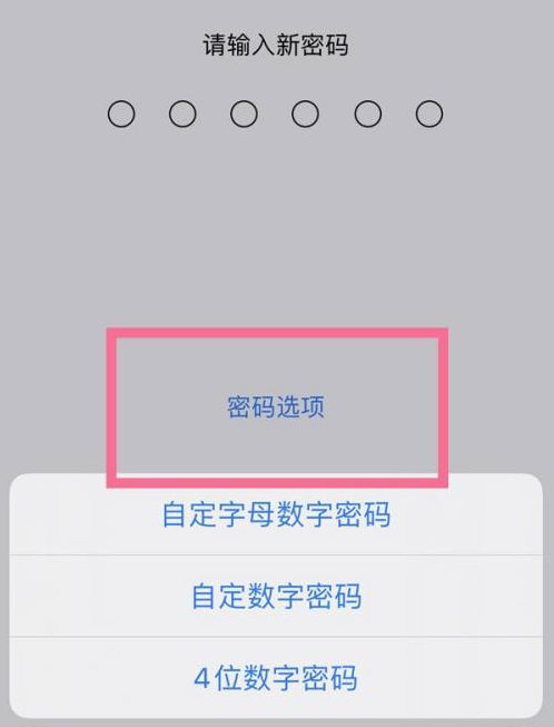 市南苹果14维修分享iPhone 14plus设置密码的方法 