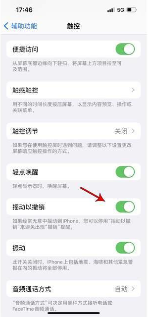 市南苹果手机维修分享iPhone手机如何设置摇一摇删除文字 